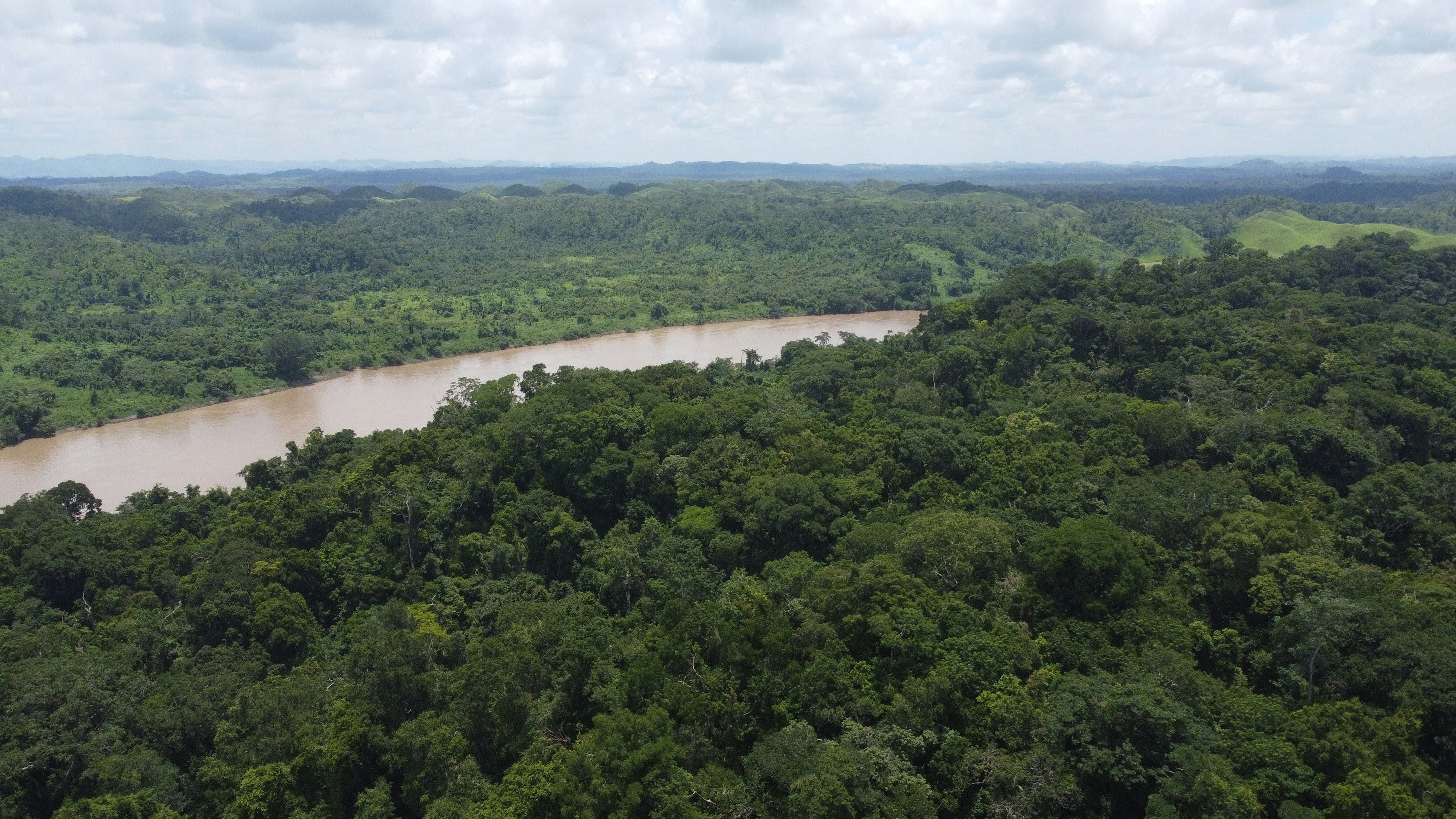 Aerial view of jungle river in Chanchamayo Peru, lush green forest, winding river